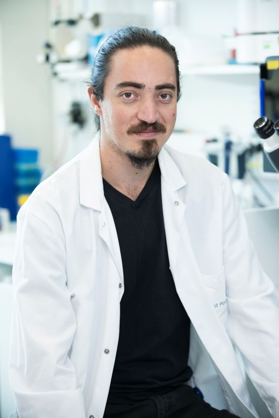 Nicolas MINIER